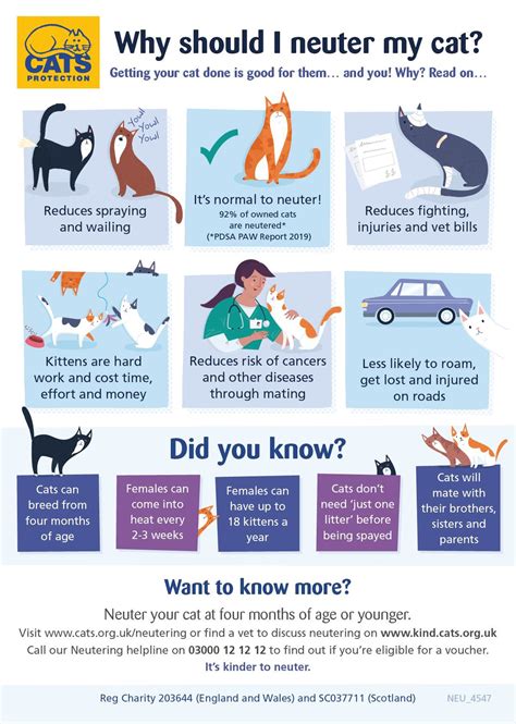 age to spay or neuter a cat