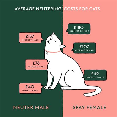 average cost of spaying a cat