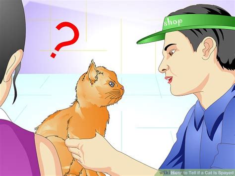 how to tell if a stray cat is spayed